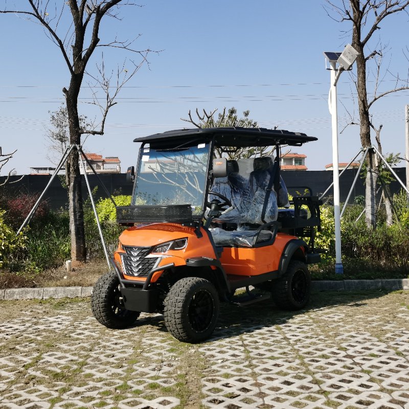 Véhicule de chasse électrique 2 + 2 places avec batterie au lithium