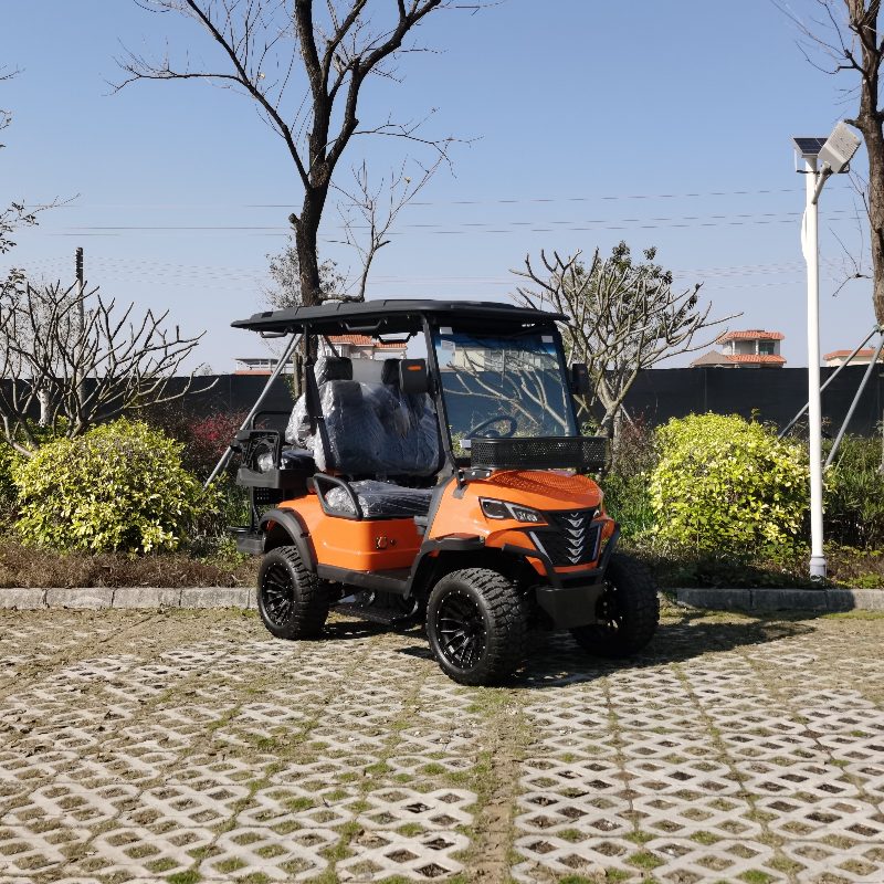 Véhicule de chasse électrique 2 places avec batterie au lithium