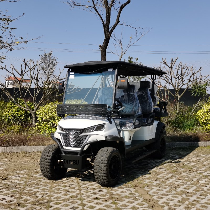 4 + 2 places de chasse électrique avec batterie au lithium