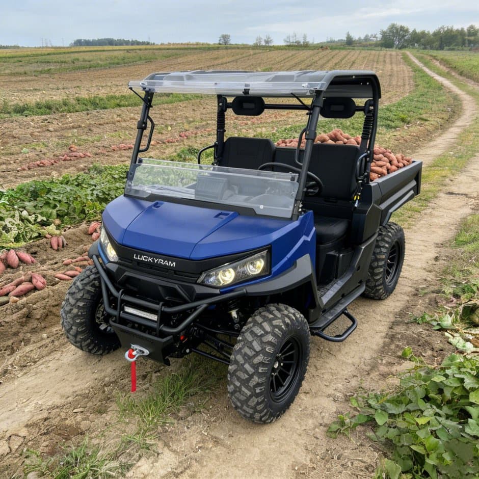 Moteur à courant alternatif EPS 73,6 V 4WD UTV 10 kW, batterie de direction 150 Ah.