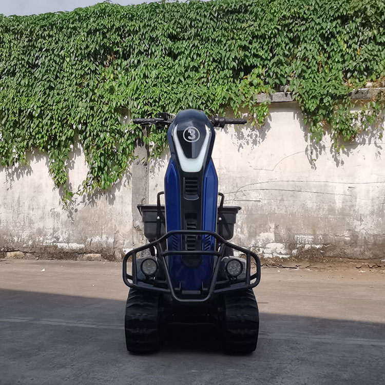 Motoneige utilitaire électrique debout