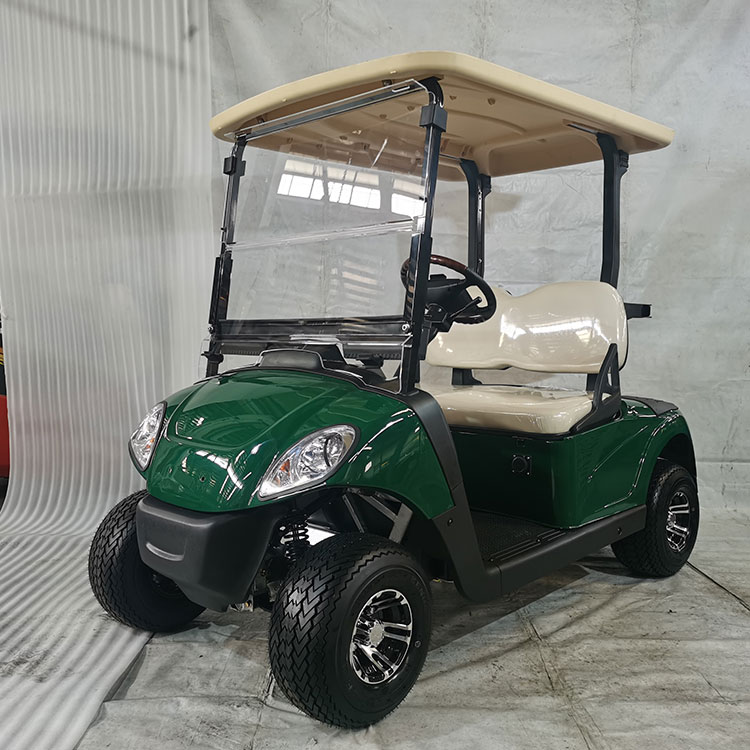Puissante voiturette de golf électrique 2 places, équipée d'une batterie au lithium